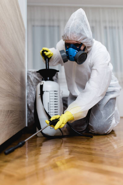 Best Pest Prevention Services  in USA